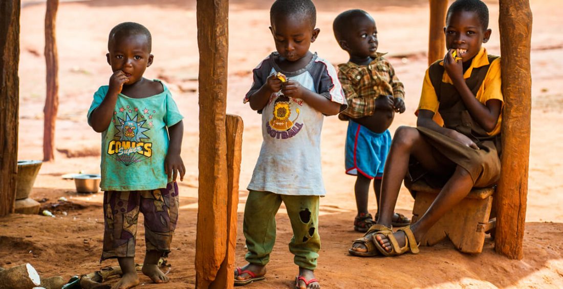 Nulla sodales ligula